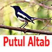 Putul Altab