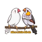 nice-little-birds