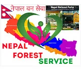 NFS नेपाल वन सेवा