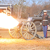 Last Salute