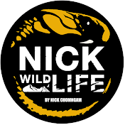 Nick Wildlife