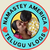 Namastey America Telugu vlogs