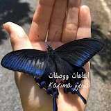 ابداعات Karima jijelia