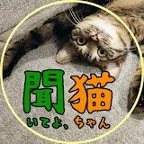 聞いてよ、猫ちゃん