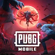 PUBG NILOY