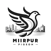 Mirpur Pigeon