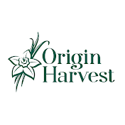 Origin Harvest - Indonesia Vanilla Bean Supplier