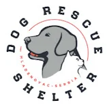 Dog Rescue Shelter, Serbia