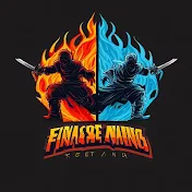 the Fantastic ninjas