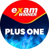 Exam Winner Plus One