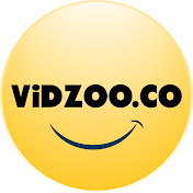 VidZoo