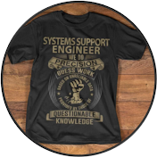 The Systems Engineer