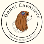 Hanai Cavaliers