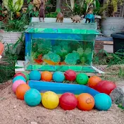 Fish Surprise Eggs