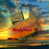 Makflies