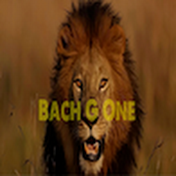 Bach G One