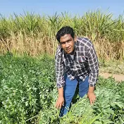 زراعة الجدعان Al-Jadaan cultivation