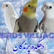 دهکده پرندگان | Bird Village