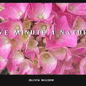 Five Minute Nature