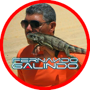 Fernando Galindo