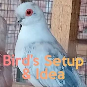 Birds setup & ideas