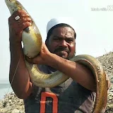 Ahtesham Khan Fishing