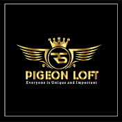 RS Pigeon Loft