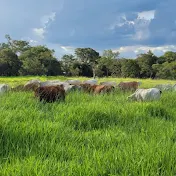 Hungaro Nomads