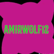 AMIRwolf12