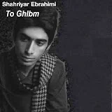 Shahriar Ebrahimi - Topic