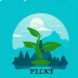 Pelkt