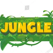 The Jungle Studios
