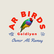 AR Birds