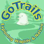 GoTrails