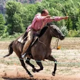 Horses and Archery