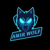 AMIR WOLF
