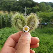 하늘비의 슬기로운 산촌생활