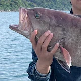 Fishing In Kyushu