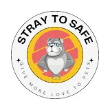 Stray to Safe