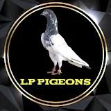 LP Pigeons