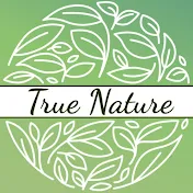 True Nature