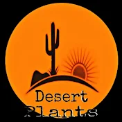 Desert Plants Garden