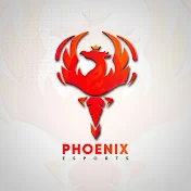 Phoenix Esports