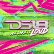 DS18 Car Audio