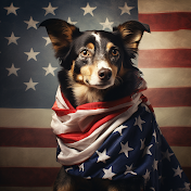 USA Woof Wonders