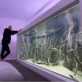 rodneysfishtank