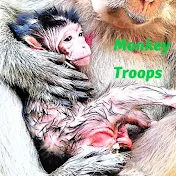 Monkey Troops