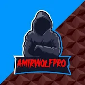 amirwolfpro