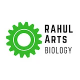 RAHUL Arts