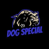 DOG SPECIAL